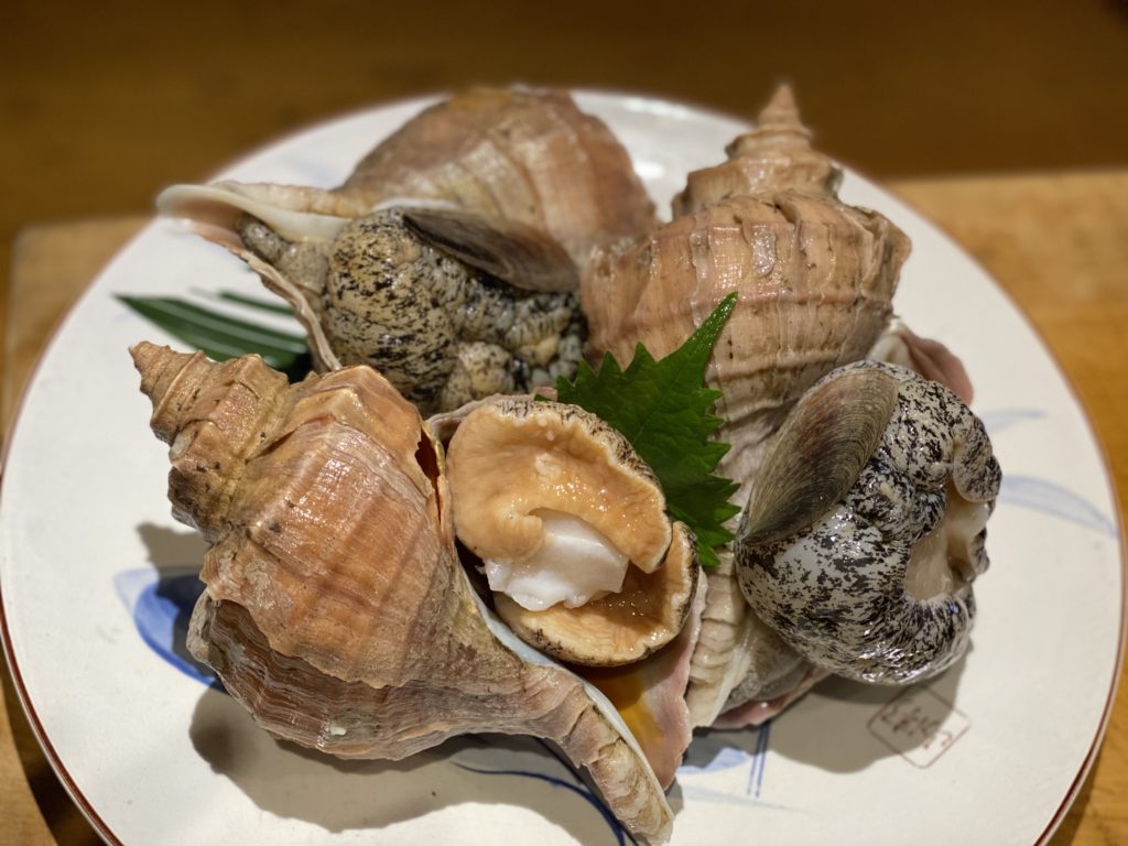 北海道から活つぶ貝が入荷してます